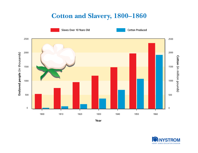 Cotton and Slaves